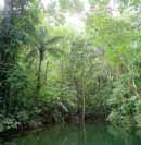 Lagoon