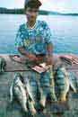 A dock worker<BR>cleans our catch