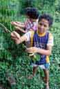 A Panamanian<BR>youth picks<BR>coffee beans