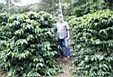Michael Janson inspecting coffee