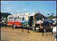 Panama Bus.
